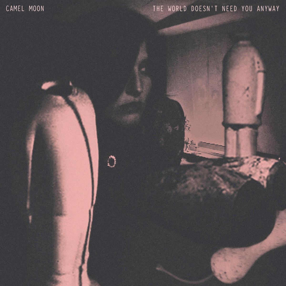 Cover Design Camel Moon's Single TWDNA 